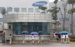 Lost in translation: How Chinese, Korean, and Japanese bosses adapt in Vietnam