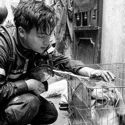 Bản tin tối 2-8: Hình ảnh xúc động về chiến sĩ chữa cháy hy sinh