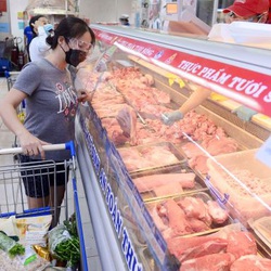 Tin sáng 23-8: Giá heo ở miền Nam tăng nhẹ, khả năng còn tăng thêm