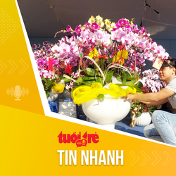 Tin tức sáng 14-1: Lan hồ điệp giá chục triệu hút khách