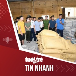 Tin tức tối 24-11: Thuê kho, mua 100 tấn xi măng để ngụy trang buôn ma túy