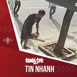 Tin tức tối 29-11: Chủ nhà có cây sưa bị đốn ở Đà Nẵng được đền bù 12 triệu