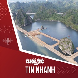 Tin tức tối 6-11: Thông tin về khu đô thị lấn 3,88ha vùng đệm vịnh Hạ Long