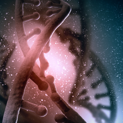 Podcast: 'DNA rác' ảnh hưởng gì đến bộ gene của chúng ta?