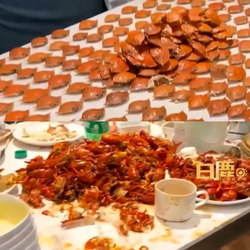 Podcast: Ăn buffet mỗi người 'xơi' 43 con cua, 7 trái sầu riêng, nhiều thịt, tôm, cá hồi...