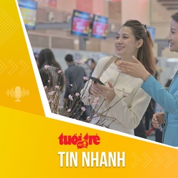 Tin tức sáng 12-1: Hàng không bắt đầu nhận chở mai, chở đào dịp Tết