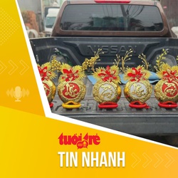 Tin tức sáng 16-1: Dừa dát vàng giá nửa triệu một cặp hút khách