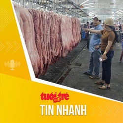 Tin tức sáng 4-2: Giá heo hơi tăng nhẹ, lên mức 60.000 đồng/kg