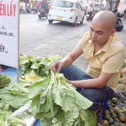 Thành phố dễ thương - Kỳ 2: Hàng rau Cúc Còi miễn phí 'ai cần cứ đến lấy'