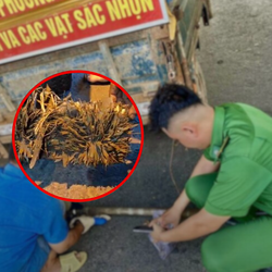 Rải đinh trên quốc lộ 1 qua Thủ Đức: Buổi sáng rà hút hết, buổi tối lại dày đặc!