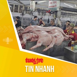 Tin tức sáng 14-5: Giá heo tiếp tục tăng