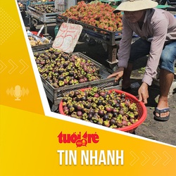 Tin tức sáng 28-6: Măng cụt trong nước mất mùa, hàng Thái chiếm lĩnh