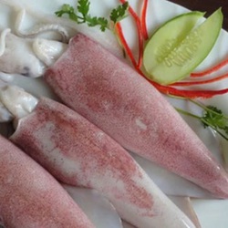 Cần biết cách ăn mực để tránh sinh bệnh
