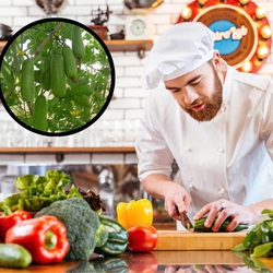 Công thức chế biến ‘thần dược’ từ bí đao
