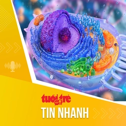 Tin tức sáng 2-10: Đột phá AI phát hiện hàng trăm dấu ấn ung thư 'vô hình'