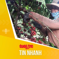 Tin tức sáng 27-10: Sản lượng tăng, giá cà phê dự báo sẽ giảm