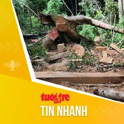 Tin tức sáng 5-10: Đề xuất tăng mức phạt với các hành vi phá rừng