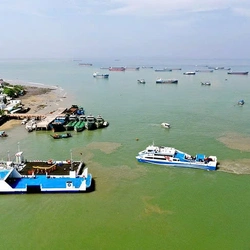 TP.HCM yêu cầu xem xét đề xuất làm đường vượt biển Cần Giờ - Vũng Tàu của Vingroup
