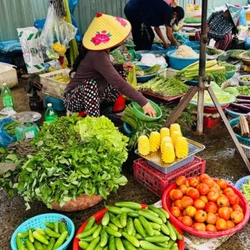 Giá rau tăng cao, làm sao để cân đối bữa ăn gia đình?