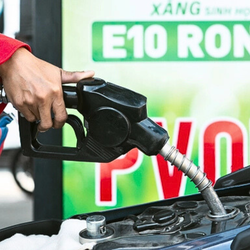 Nhiều người vẫn lắc đầu khi được mời đổ xăng E10, lo ngại gây hại động cơ