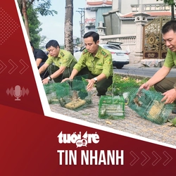 Tin tức tối 18-12: Giải cứu chim trời mắc bẫy giữa lòng thành phố