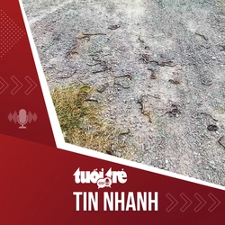Tin tức tối 2-12: Giun đất chết hàng loạt, cơ quan chuyên môn nói gì?