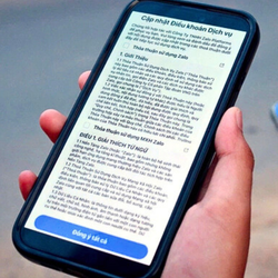 Luật sư phân tích mức độ vi phạm của Zalo trước làn sóng tẩy chay từ người dùng