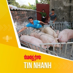 Tin tức sáng 10-3: Giá heo có thể còn tăng