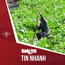 Tin tức tối 20-3: Lục bình dày đặc trên sông Vàm Cỏ Đông, người dân ‘cầu cứu’