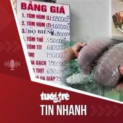 Tin tức tối 26-5: Xác minh vụ khách ăn bọ biển giá 1,8 triệu đồng/kg, rồi tố quán 'chặt chém'