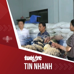 Tin tức tối 31-5: Khởi tố 3 người trong vụ 350 tấn giá ủ hóa chất