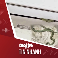 Tin tức tối 8-5: Liên tiếp phát hiện rắn ở trong máy điều hòa nhà người dân