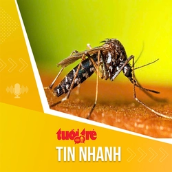 Tin tức sáng 18-6: TP.HCM cảnh báo nguy cơ bùng phát bệnh sốt xuất huyết từ giữa tháng 6