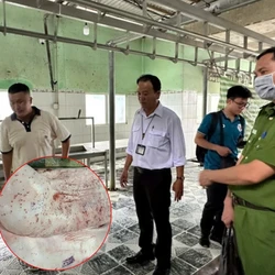 Vụ tố Công ty C.P. Việt Nam bán thịt heo bệnh: Bộ Nông nghiệp đề nghị Bộ Công an điều tra