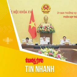 Tin tức sáng 5-6: Thường vụ Quốc hội xem xét đề án sáp nhập tỉnh, thông qua các nghị quyết sáp nhập xã