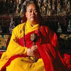 Trung Quốc điều tra hàng loạt bê bối của Trụ trì Thiếu Lâm Tự Thích Vĩnh Tín