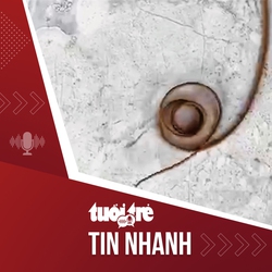 Tin tức tối 6-7: Sinh vật dài 30cm ngo ngoe trong bó rau muống, nhiều người lần đầu trông thấy