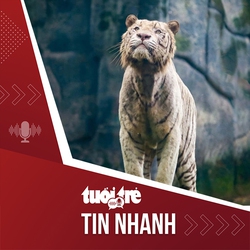 Tin tức tối 8-7: Hổ trắng Ngộ Không ở Thảo cầm viên Sài Gòn đã chết