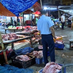 Công an Hà Nội triệt phá lò mổ lậu, thu giữ hơn 4 tấn thịt heo bệnh