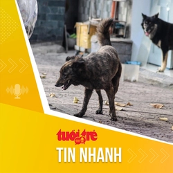 Tin tức sáng 12-8: Liên tiếp trẻ bị chó tấn công, bác sĩ khuyến cáo cảnh giác