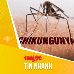 Tin tức sáng 16-8: Tăng cường giám sát tại cửa khẩu quốc tế, chủ động kiểm soát bệnh Chikungunya