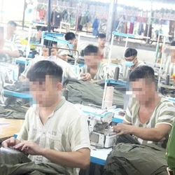Mở rộng đối tượng được đặc xá dịp Quốc khánh 2-9 theo quyết định của Chủ tịch nước