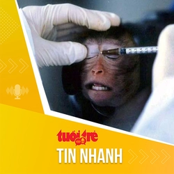 Tin tức sáng 9-8: Tế bào gốc 'đảo ngược' tuổi khỉ già, mở ra hy vọng chống lão hóa ở người