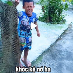'Câu view' bất chấp trên mạng: Có thể xử lý hình sự?