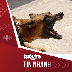 Tin tức tối 16-1: Bốn người trong gia đình bị chó cắn nhưng không tiêm phòng, một người tử vong