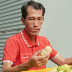 Người đàn ông Cà Mau khởi nghiệp thành công từ cây nhàu