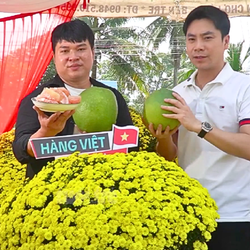 Bí thư xã ở Vĩnh Long cùng các KOL livestream bán hoa giúp nhà vườn