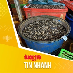 Tin tức sáng 30-1: Vì sao cơ sở tẩm hóa chất vào 3.000 tấn thịt ốc tồn tại trong nhiều năm?