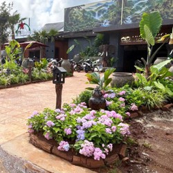 Muốn trồng cây xanh trên vỉa hè, người dân cần làm gì?