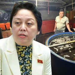 Lý do Sở An toàn thực phẩm không thể phát hiện hết các vụ vi phạm lớn